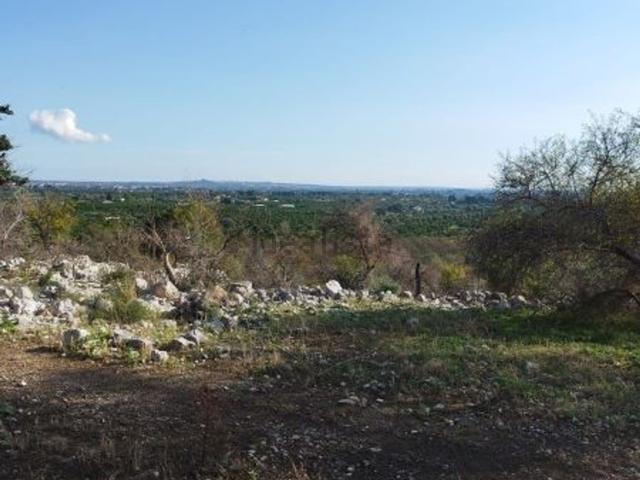 Terreno in vendita di 15000 m²