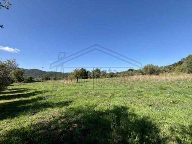 Terreno in vendita di 15000 m² in Via Coste