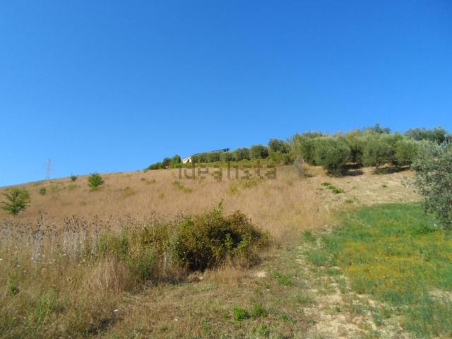 Terreno in vendita di 15000 m² in Via Monterone