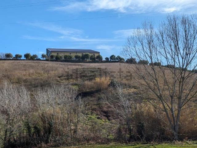 Terreno in vendita di 15000 m² in Via monterone