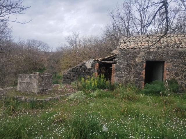 Terreno in vendita di 15000 m² in Contrada Cavaliere Bosco