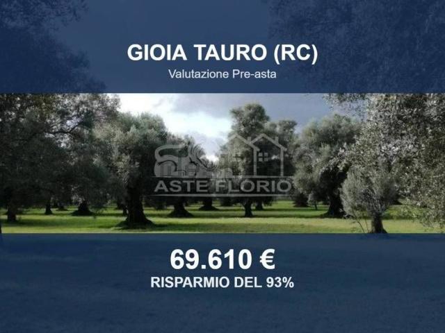 Terreno in vendita di 15000 m² in Contrada Filicuso