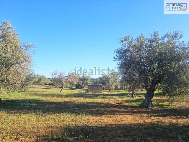 Terreno in vendita di 15000 m² in Contrada GERBE
