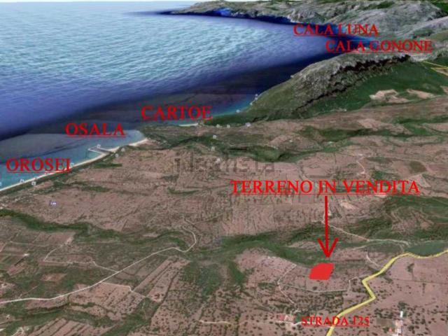 Terreno in vendita di 15000 m² in Località Pirastreddu, 2