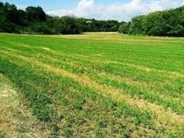 Terreno in vendita di 15000 m² in Piazza Cosniga