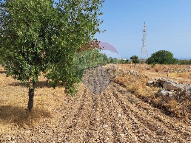 Terreno in vendita di 15000 m² in Piazza Giovanni di Mauro