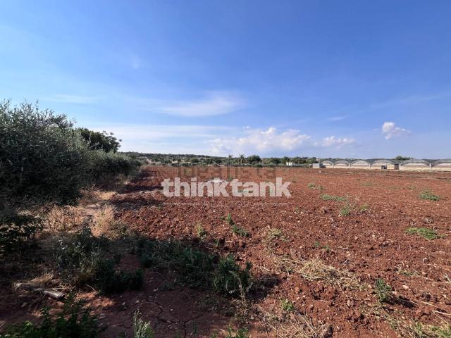 Terreno in vendita di 15000 m² in Strada Provinciale 44