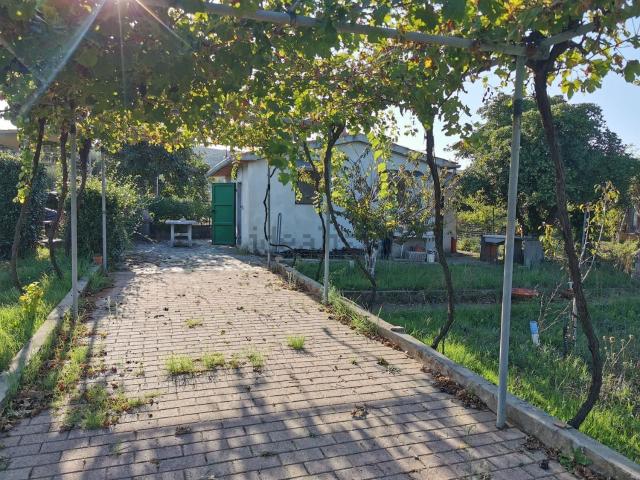 Terreno in vendita di 1500 m² in Località Asca