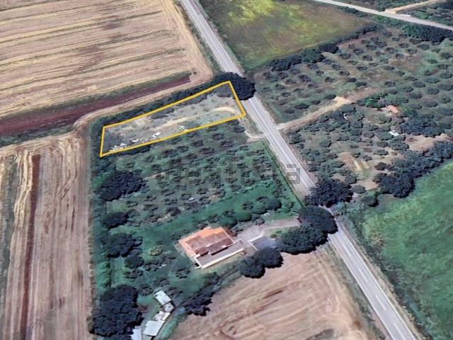 Terreno in vendita di 1500 m² in Strada di macchiascandona