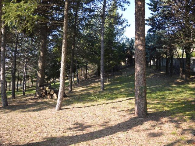 Terreno in vendita di 1500 m² in Via Cassano