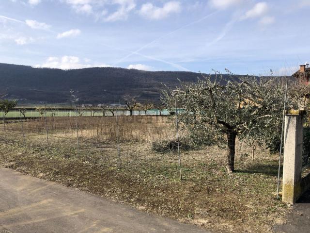 Terreno in vendita di 1500 m²