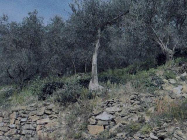 Terreno in vendita di 1509 m² in Strada Ciana&apos , 9