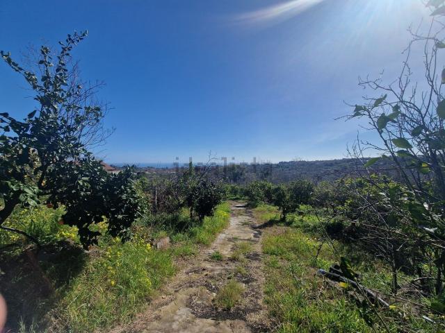 Terreno in vendita di 15200 m² in Via Damasco