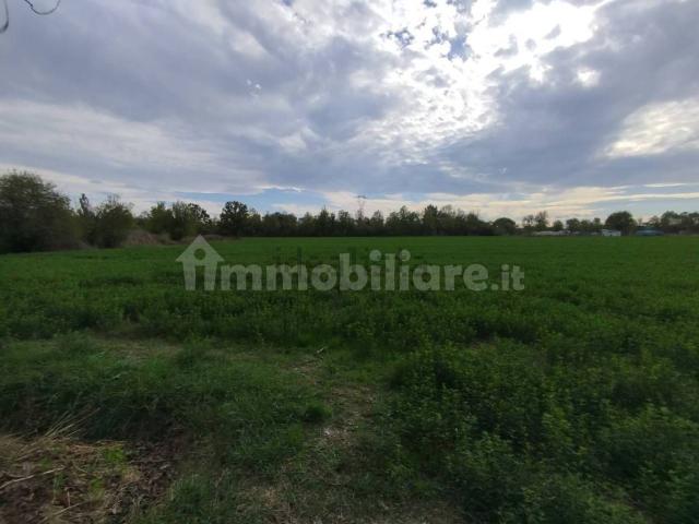 Terreno in vendita di 15201 m²