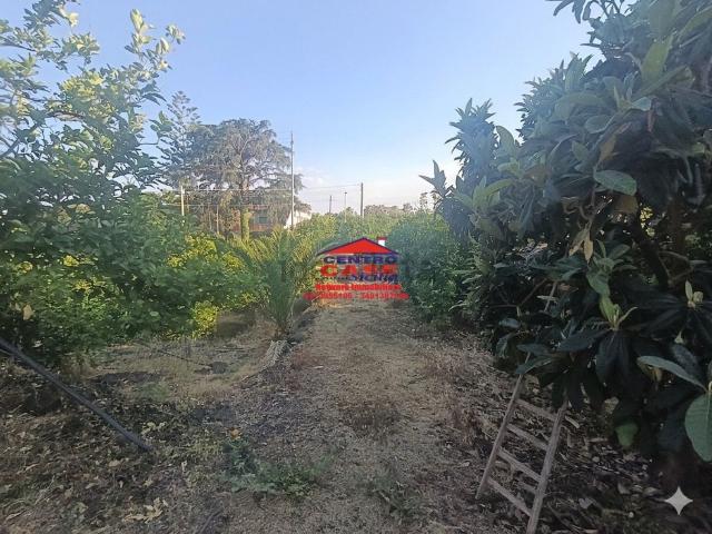Terreno in vendita di 1521 m²