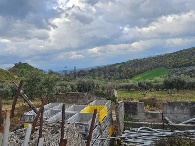 Terreno in vendita di 153000 m² in Contrada Carrozza delle Mucche, 23