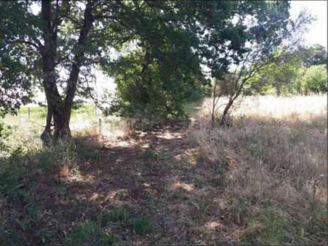 Terreno in vendita di 15320 m² in Via Cencelli