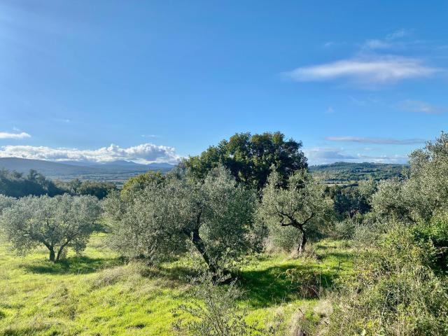 Terreno in vendita di 16500 m² in Via San Giovanni