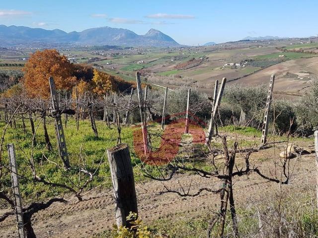 Terreno in vendita di 16500 m² in Contrada Ponte Valentino SP 44