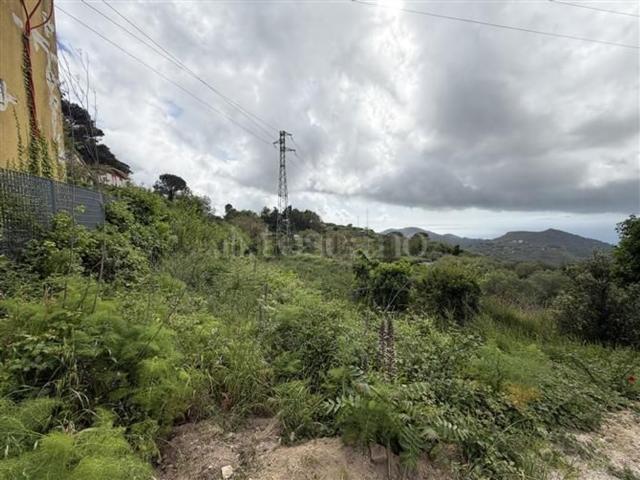 Terreno in vendita di 16504 m² in Via San Cosimo