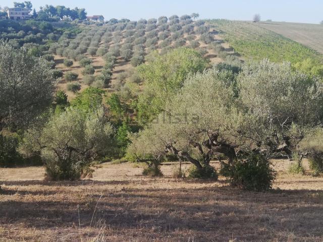 Terreno in vendita di 16590 m² in Contrada Vicenne Sud, 54