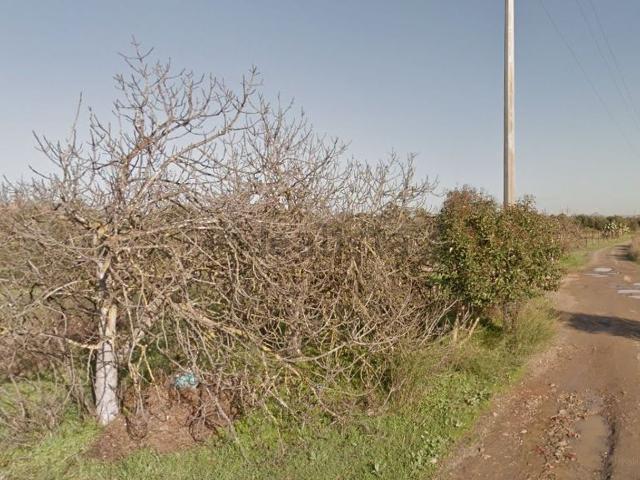 Terreno in vendita di 1660 m² in Località Sa Cannada