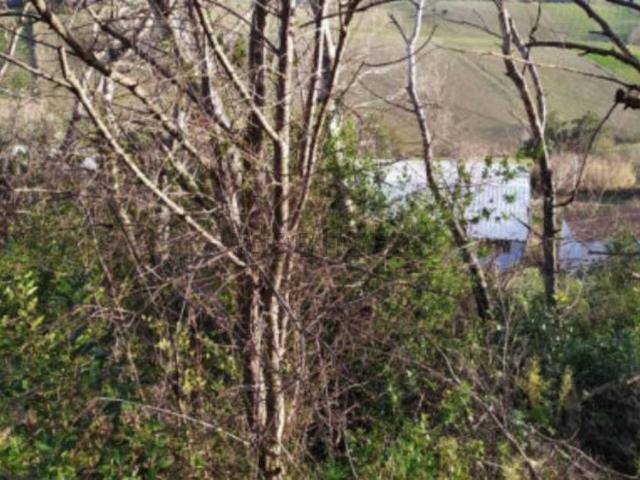 Terreno in vendita di 17 m² in Contrada San Girolamo