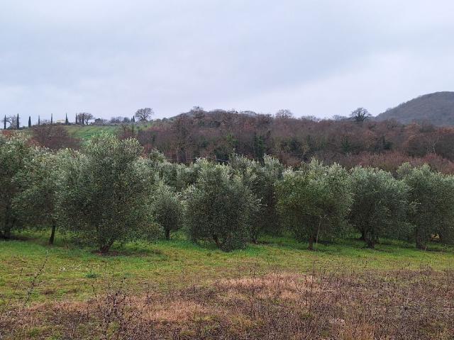 Terreno in vendita di 16710 m² in Località Casetta Termine, 40