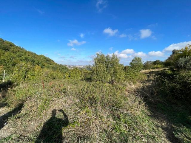 Terreno in vendita di 1672 m² in Viale America