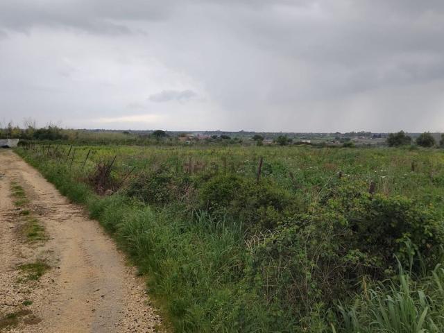 Terreno in vendita di 16747 m² in Contrada rosa