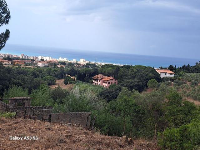 Terreno in vendita di 16750 m²