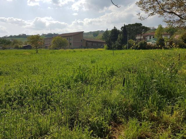 Terreno in vendita di 16800 m² in Contrada Pino, 32