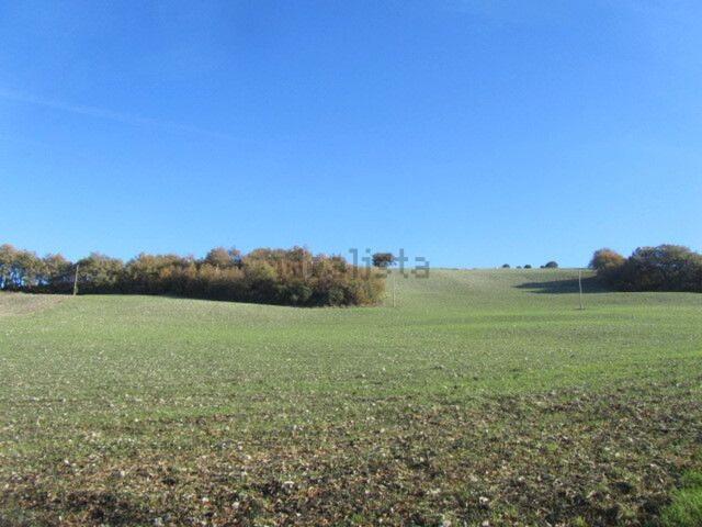Terreno in vendita di 16850 m² in Strada senza nome, 14