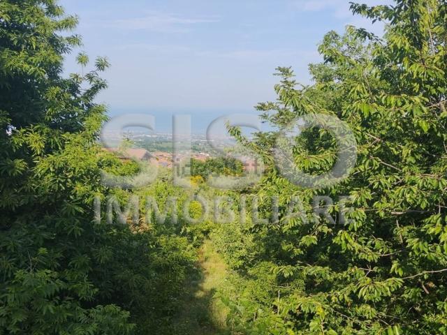 Terreno in vendita di 1698 m² in Via Cassone