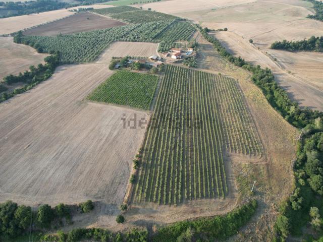 Terreno in vendita di 160000 m² in Località San Giuliano