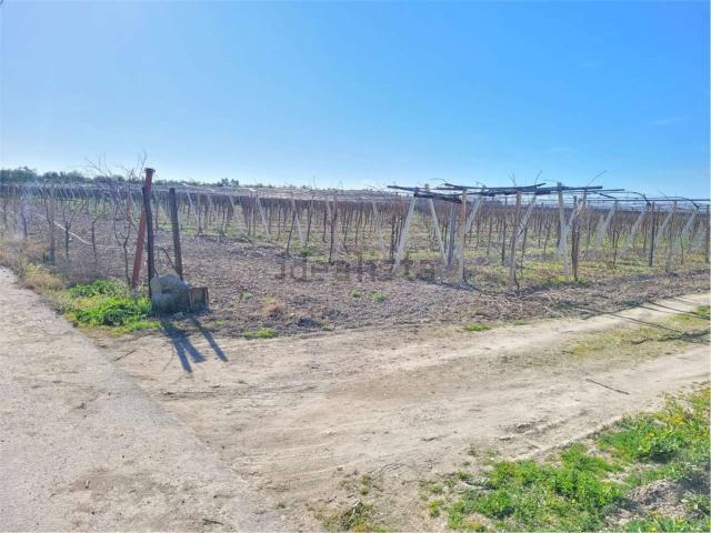 Terreno in vendita di 160000 m² in Strada senza nome