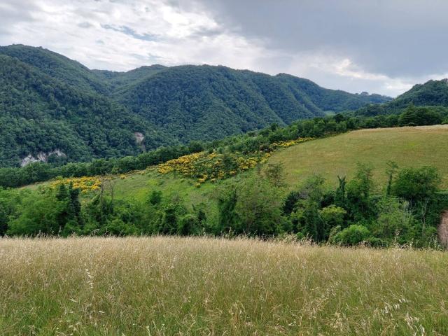 Terreno in vendita di 160000 m² in Via Rio Maggiore, 16