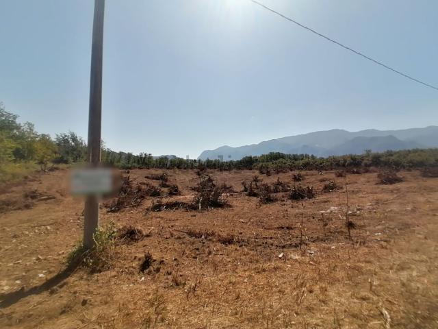 Terreno in vendita di 16000 m² in Via Boscovico