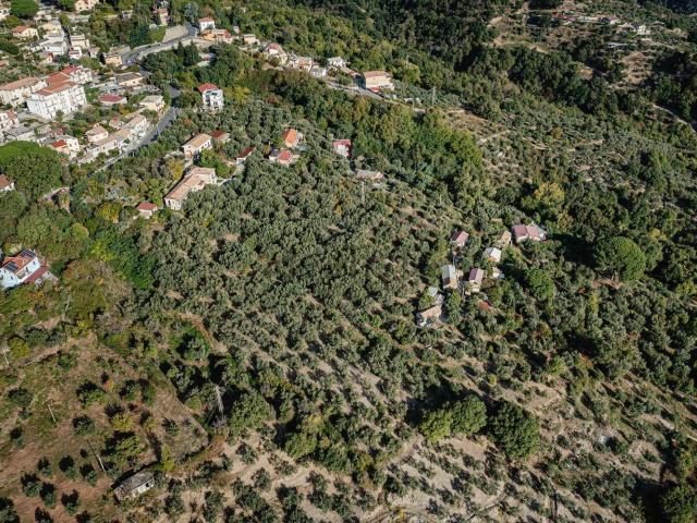 Terreno in vendita di 16000 m² in Via Domenico Spanó Bolani