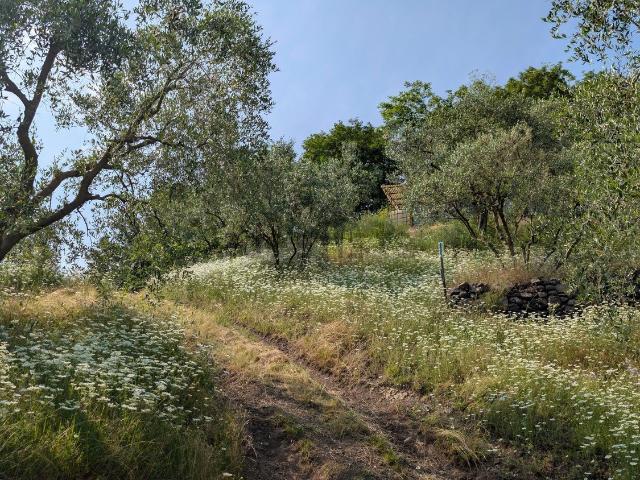Terreno in vendita di 16000 m² in Via Darramara