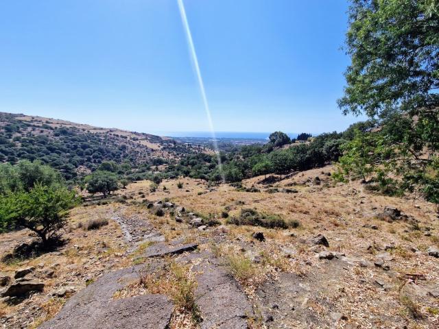 Terreno in vendita di 16000 m² in Via difesa