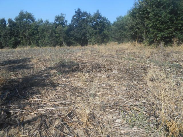 Terreno in vendita di 16000 m² in Via Montemiletto