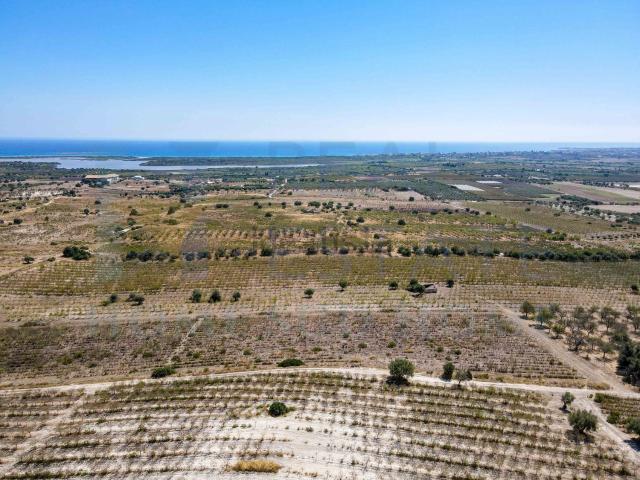 Terreno in vendita di 16000 m² in Via Tommaso Fazello, 228