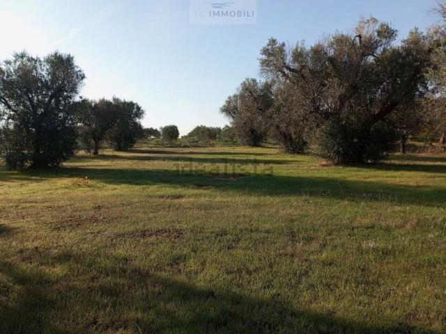 Terreno in vendita di 16000 m² in Contrada zambardo
