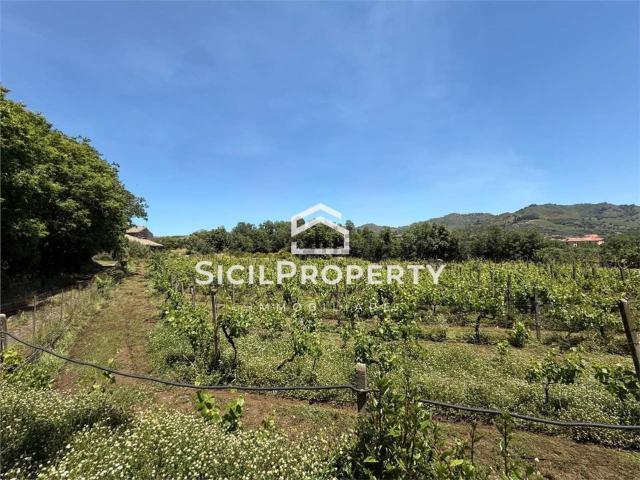 Terreno in vendita di 16000 m² in Contrada Friera