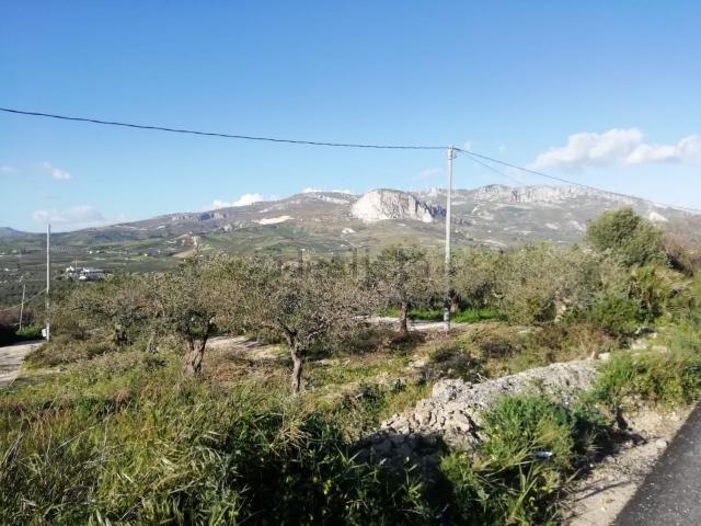 Terreno in vendita di 16000 m² in Contrada Portolana
