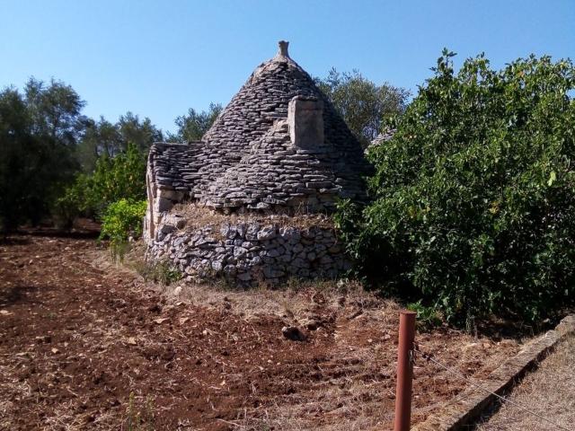 Terreno in vendita di 16000 m² in Contrada Pozzo Pallone, Strada Provinciale Francavilla Ostuni