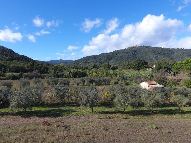 Terreno in vendita di 16000 m² in Località Vaticino
