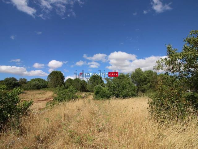 Terreno in vendita di 16000 m² in Strada Paretone