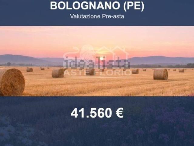 Terreno in vendita di 160063 m² in Contrada Piano del Ponte